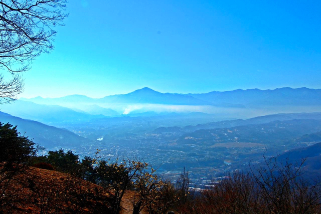 宝登山 / 埼玉 / 冬
