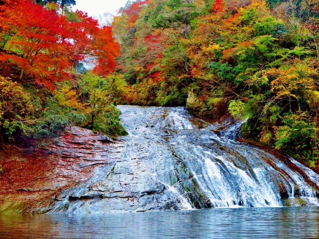 養老渓谷(粟又の滝) / 千葉 / 渓谷・滝
