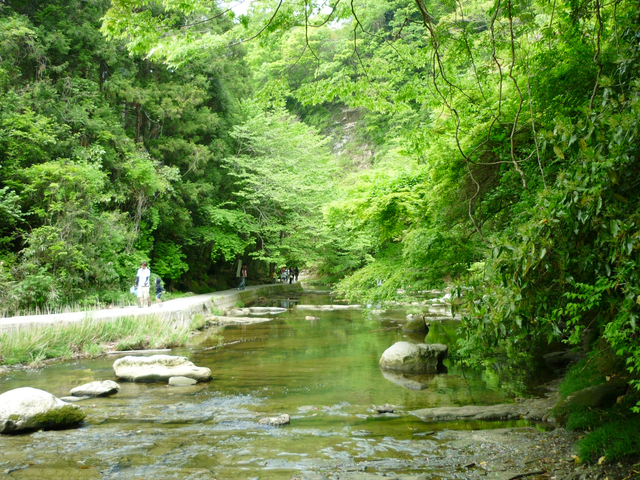 養老渓谷(粟又の滝) / 千葉 / 渓谷・滝