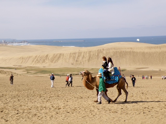 1. 絶景とロマンを携えた人気ナンバーワンの名所「鳥取砂丘」