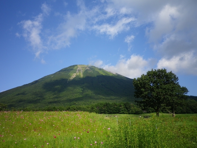 5. 愛でて楽しむのも登って楽しむのも◎！ 名峰「大山(伯耆富士：ほうきふじ)」