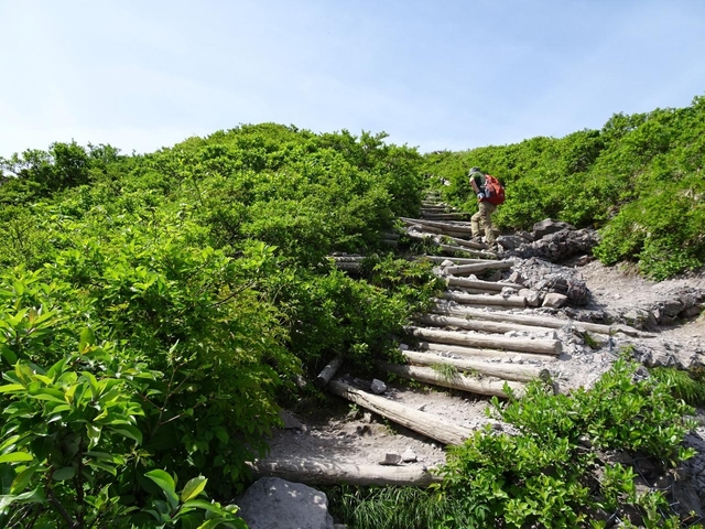 5. 愛でて楽しむのも登って楽しむのも◎！ 名峰「大山(伯耆富士：ほうきふじ)」