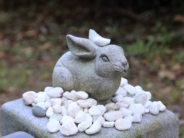 8. 日本最古のラブストーリー発祥の地「白兎神社」