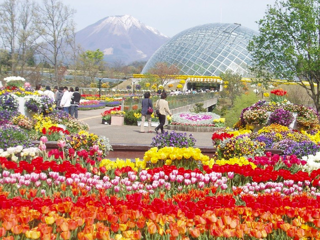 11. 国内最大級のフラワーパークで思わずうっとり「鳥取県立 とっとり花回廊」