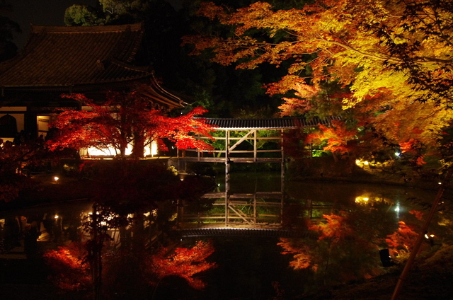 高台寺 / 東山・祇園・北白川 