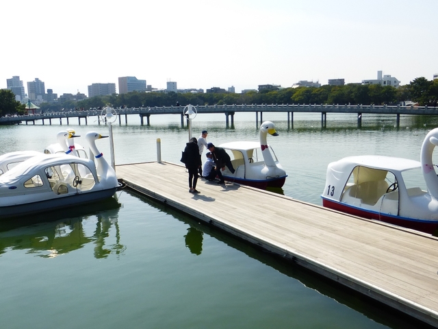 6. 大きな池に季節の花々♪ 福岡市民の憩いの場「大濠(おおほり)公園」