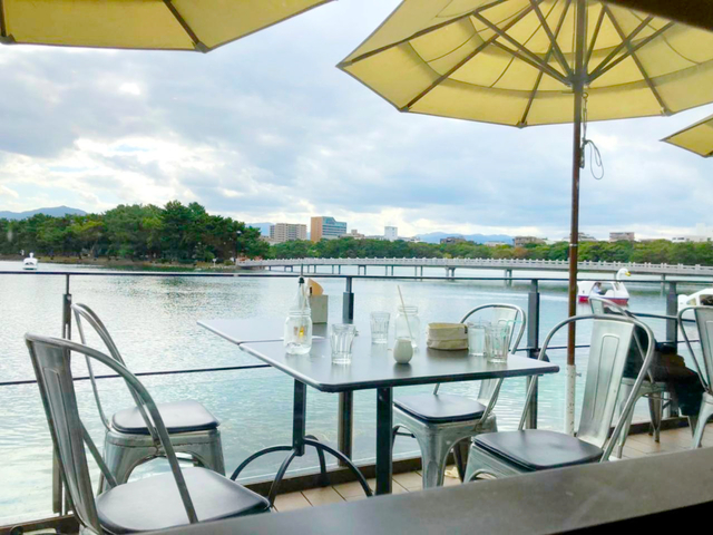 6. 大きな池に季節の花々♪ 福岡市民の憩いの場「大濠(おおほり)公園」