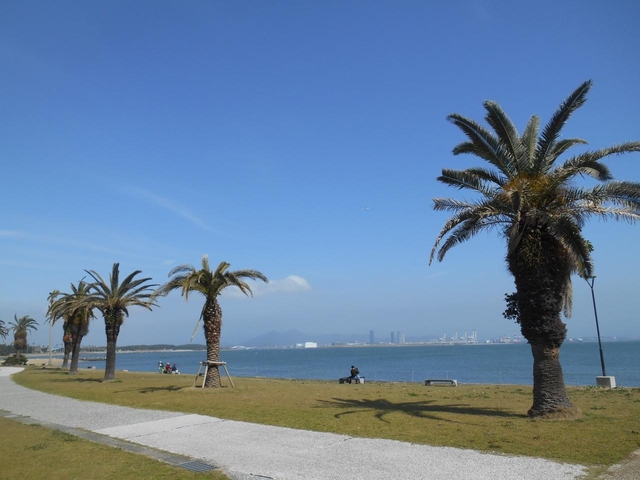 7. 大人も子どももノビノビ遊べるレジャーパーク「海の中道海浜公園」