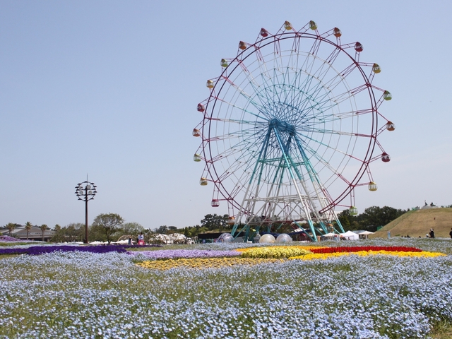 博多周辺の観光情報はいかがでしたか？