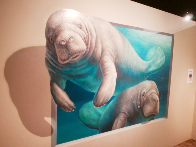 熱海トリックアート迷宮館