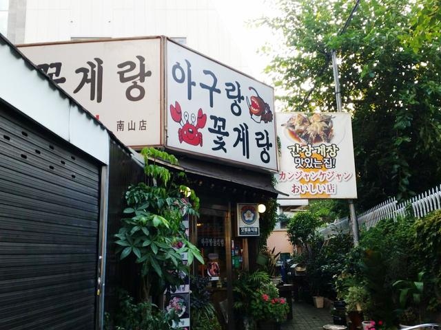 いかがでしたか