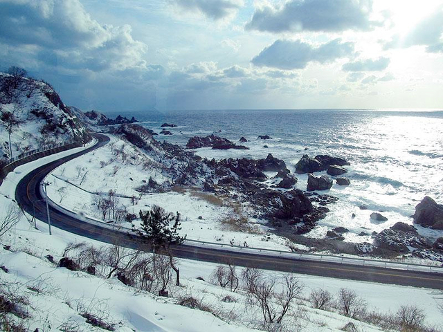 リゾートしらかみ / 東北