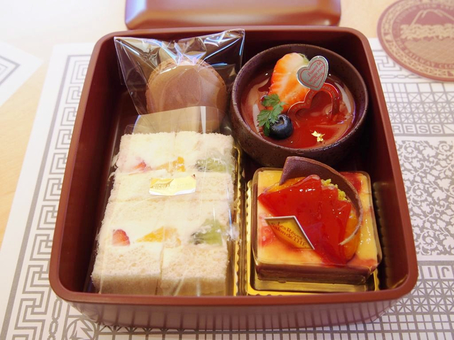 富士山ビュー特急 / 中部