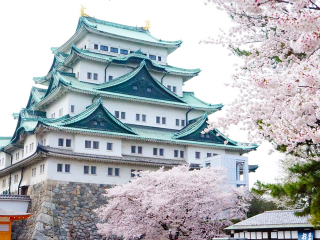 10. 名古屋城 / 北部