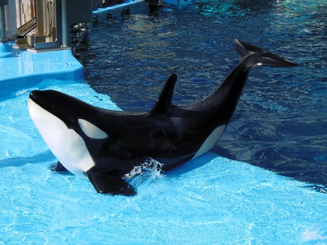 12. 名古屋港水族館 / 名古屋港