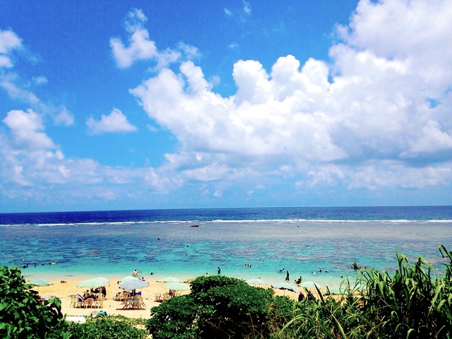 6. シュノーケルならココ！ たくさんの魚に出会える「吉野海岸」
