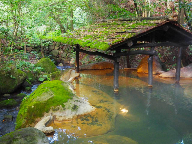 2. 癒やしを求めるなら静寂に包まれる森の宿へ「黒川温泉 旅館 山河」