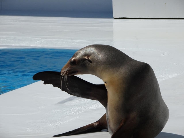 鶴岡市立加茂水族館