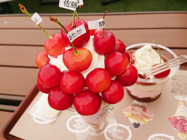 サクランボ狩り