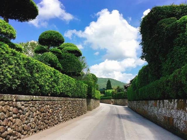 7. 美しい町並みが残る薩摩の小京都・知覧の庭園「知覧武家屋敷庭園群」 / 南薩摩エリア