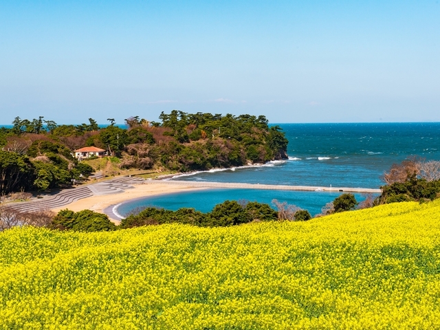 8. 灯台や神社もおすすめ！ 浦島太郎伝説が残る岬「長崎鼻」 / 南薩摩エリア