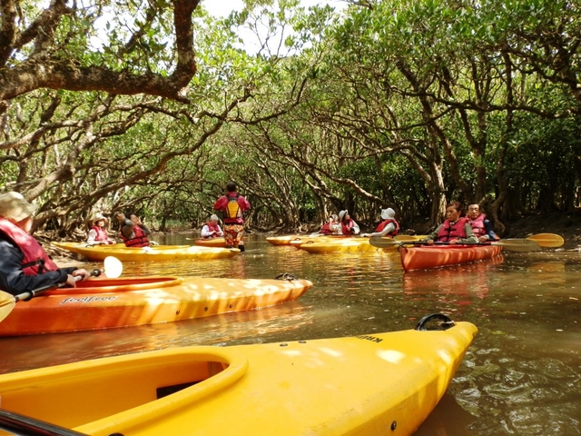 17. 豊かな森と青い海、奄美独自の文化を誇る「奄美大島」 / 奄美エリア