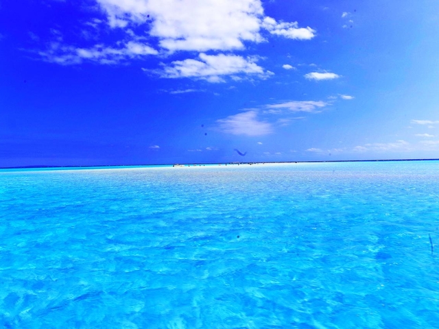 18. 絶景とウミガメに出会う鹿児島最南端の島「与論島」 / 奄美エリア