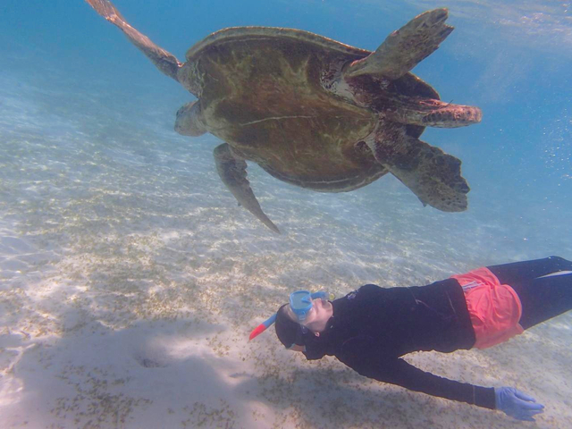 18. 絶景とウミガメに出会う鹿児島最南端の島「与論島」 / 奄美エリア