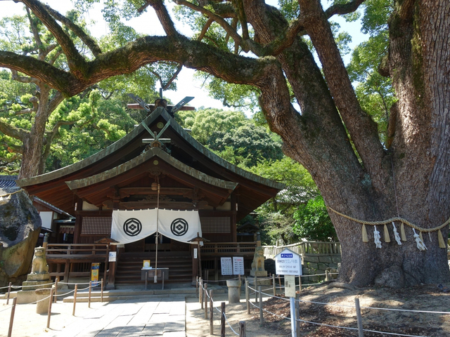 5. 猫と御神木に出会える歴史ある神社「艮(うしとら)神社」