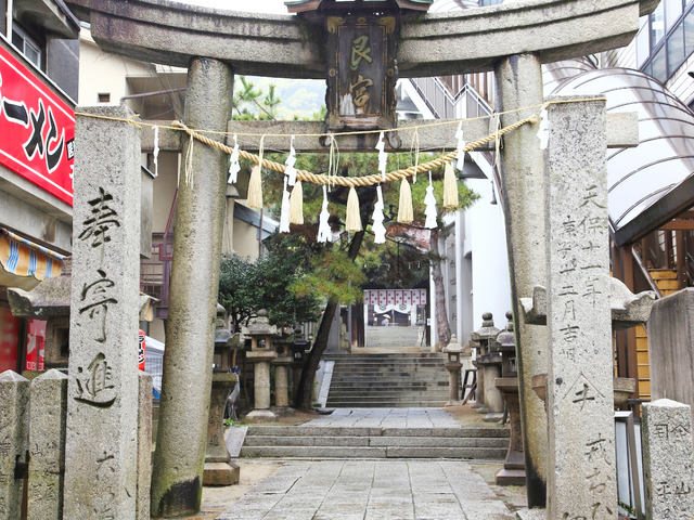 5. 猫と御神木に出会える歴史ある神社「艮(うしとら)神社」