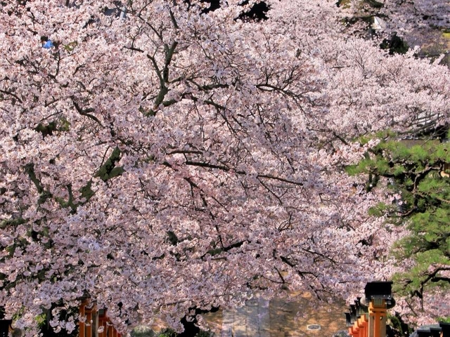 14. 大小さまざまなわら草履が境内に奉納「西國寺」