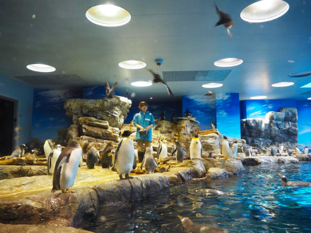下関市立しものせき水族館 海響館