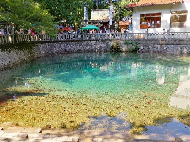 別府弁天池