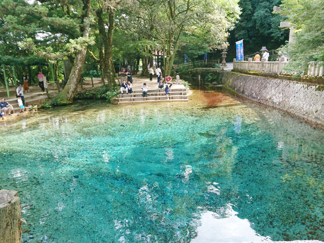 別府弁天池