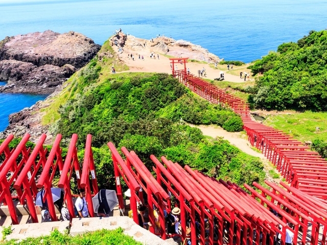 いかがでしたか？