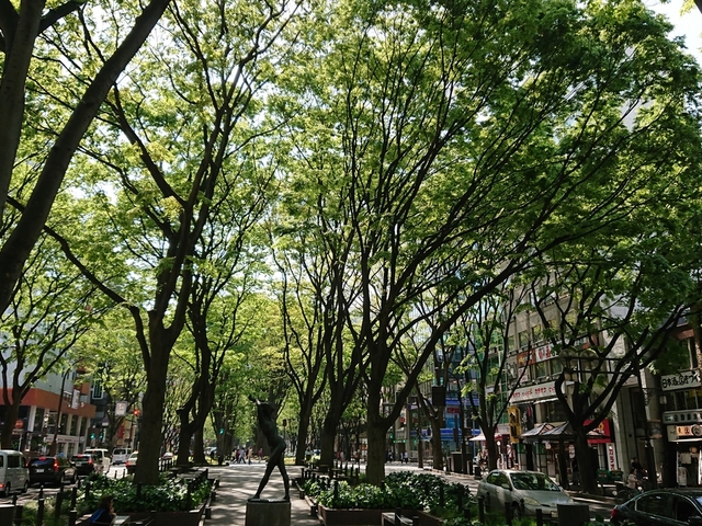 4. ケヤキ並木の美しい散歩道にアートの香り「定禅寺通」