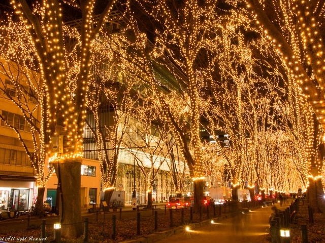 5. きらめくイルミネーションで冬は”光の都”に「SENDAI 光のページェント」