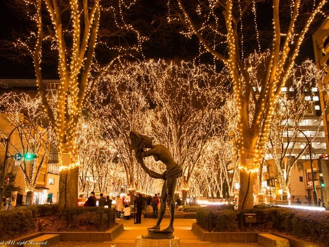 5. きらめくイルミネーションで冬は”光の都”に「SENDAI 光のページェント」