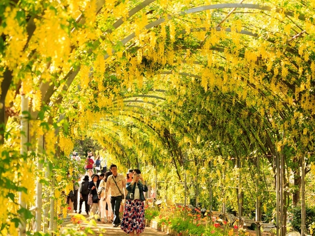 あしかがフラワーパーク