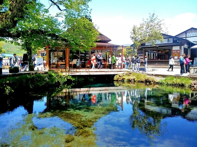 2. 富士山の噴火活動で生まれた美しい8つの池「忍野八海(おしのはっかい)」