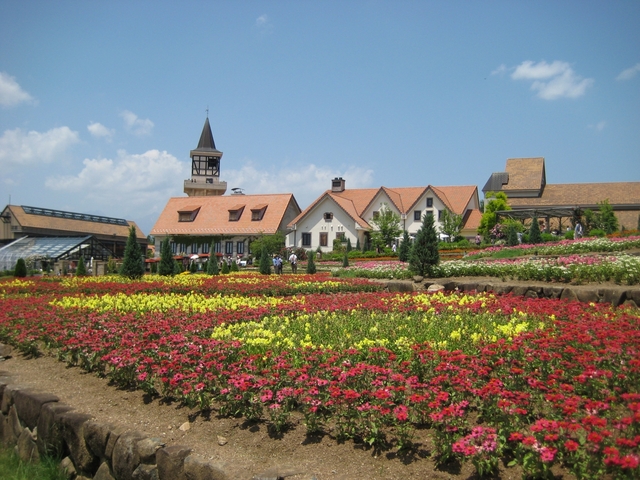 18. ハイジの世界観と季節ごとの花々が楽しめる「山梨県立フラワーセンターハイジの村」