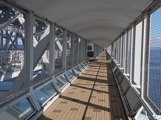 3. 徒歩で渦潮を楽しめる！ 海の上の遊歩道「徳島県立渦の道」