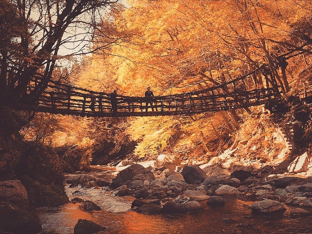 7. スリル満点！ 秘境に架かる“カズラ”のつり橋「祖谷(いや)のかずら橋」