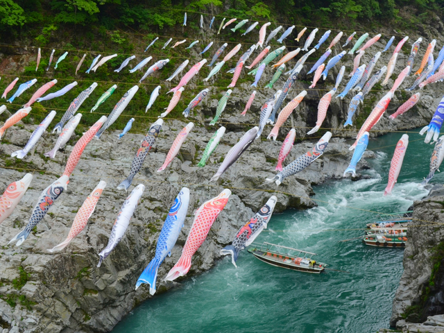 8. ユニークな名前も気になるダイナミックな景勝地「大歩危 小歩危(おおぼけ　こぼけ)」