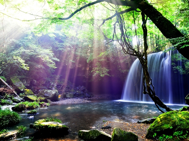 5. まるで水のカーテン！ 別名”裏見の滝”「鍋ヶ滝公園」