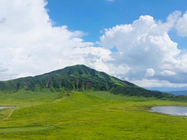 7. 火口跡の大草原に馬が草を食むのどかな風景「草千里ケ浜」