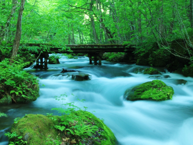 奥入瀬渓流