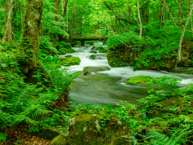 2. 奥入瀬渓流 / 青森