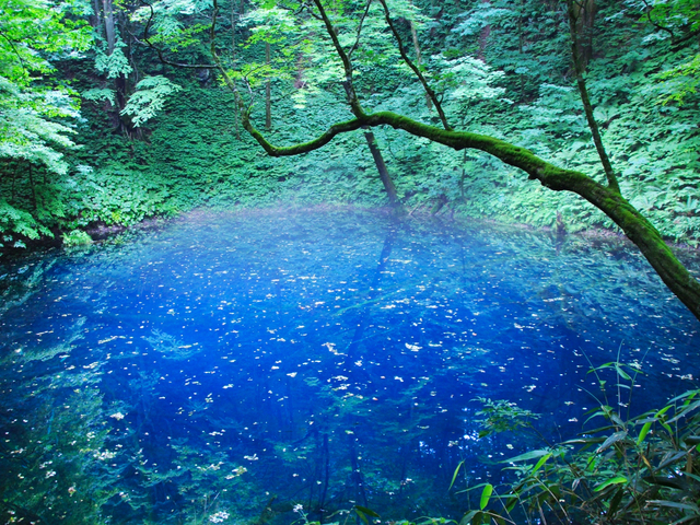 3. 十二湖 / 青森