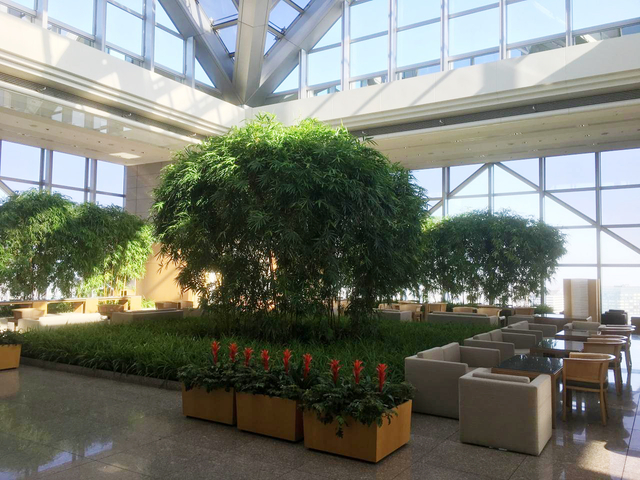 パークハイアット東京